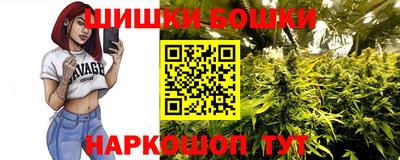 молекула духа Будённовск