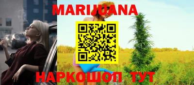 молекула духа Будённовск