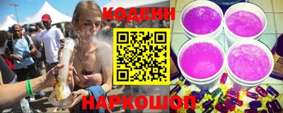 индика Камень-на-Оби